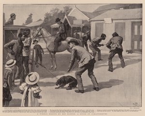 A Timely Rescue by his Master, a Scene in Johannesburg